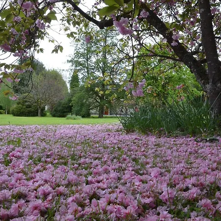 St Albans House *